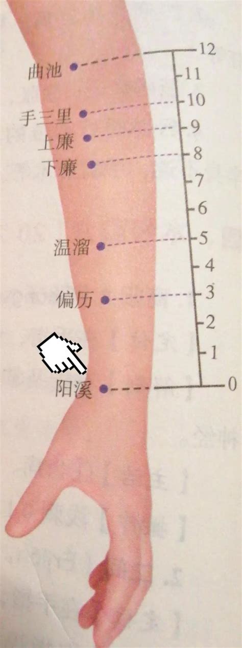 陽西穴|穴位每日一講之「陽溪穴」（內附名老中醫治療經驗分享）